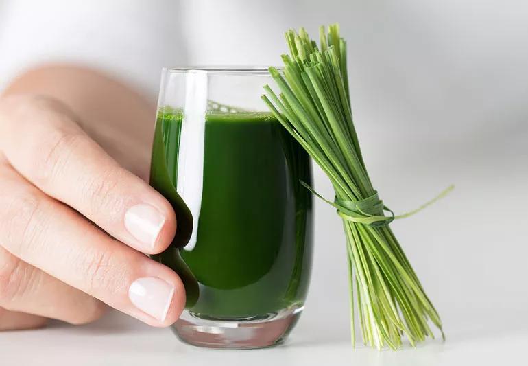 Wheatgrass juice in glass