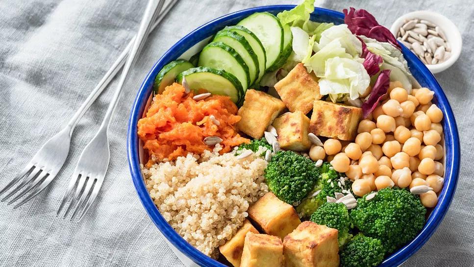Buddha bowl of tofu, cucumbers, broccoli, lettuce and garbanzo beans