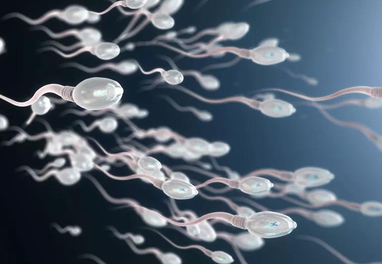 Illustration of sperm swimming