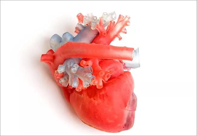 650&#215;450-3D-Heart-Technology (002)