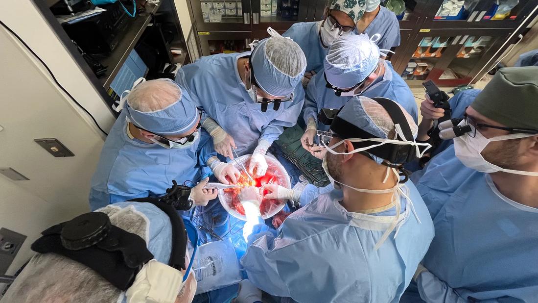 Surgeons operating on intestines