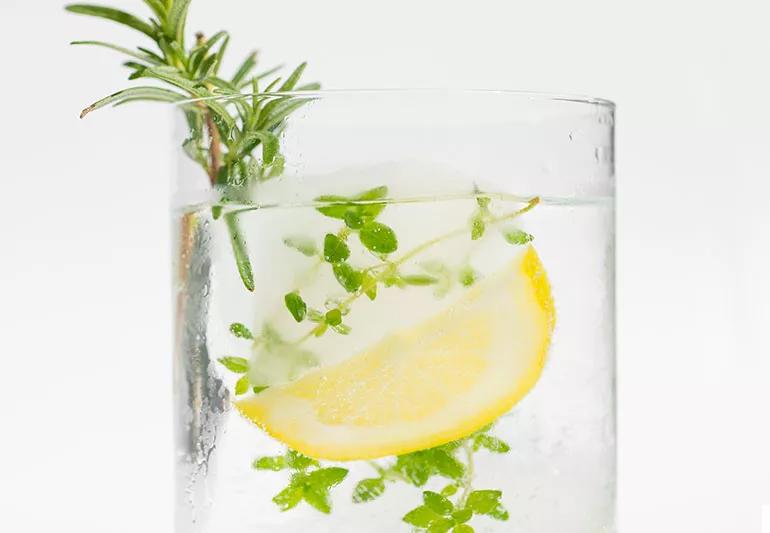 A glass of water with a slice of lemon and sprigs of herbs