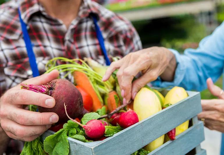 plant paradox farmers market vegetables