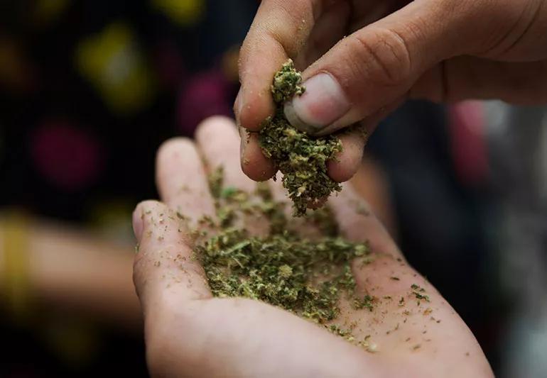 synthetic weed in palm of user's hand