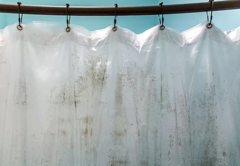 Dirty shower curtain