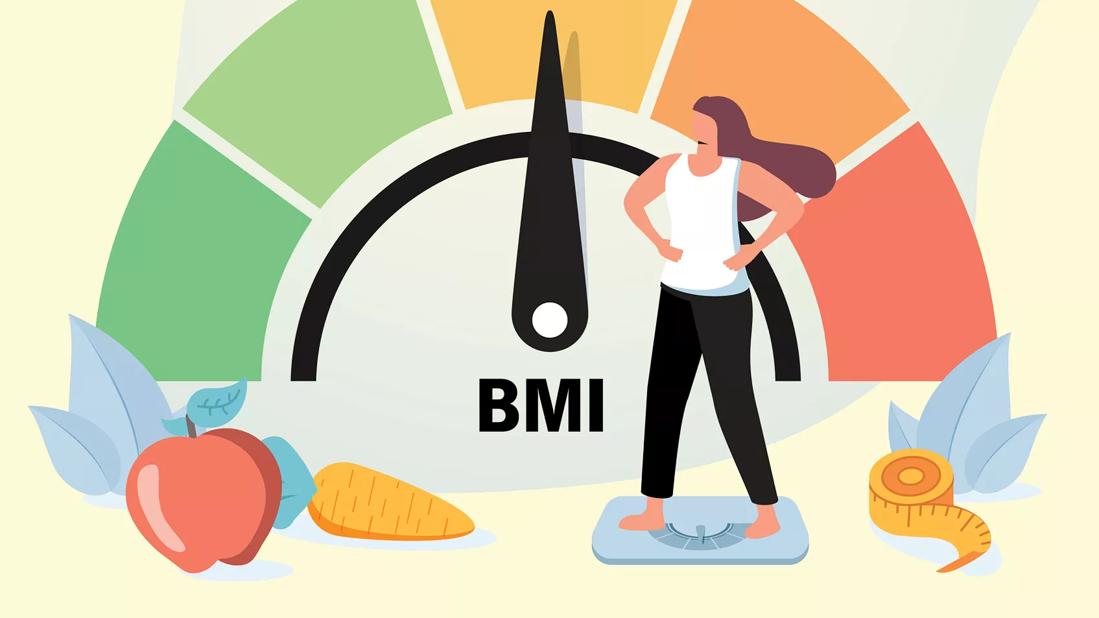A colorful meter made to represent body mass index.