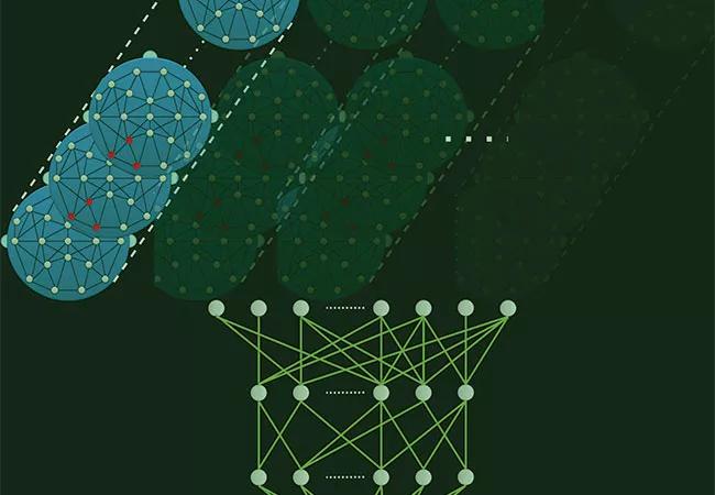 Deep Learning Models for Automatic Seizure Detection in Epilepsy