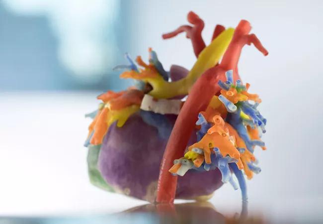 Image of Note: 3-D Printing in Congenital Heart Disease