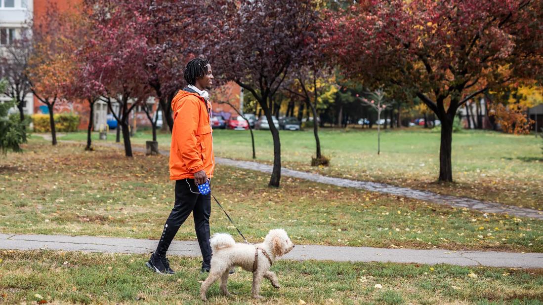 Smiling person walking dog, with autumn trees and leaves on ground