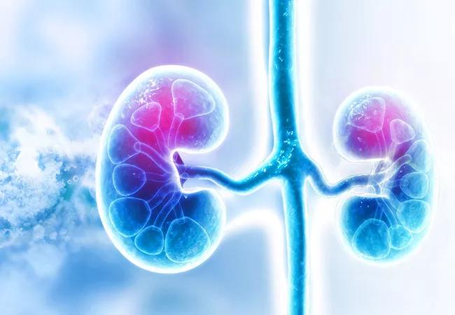 kidneys and diabetes