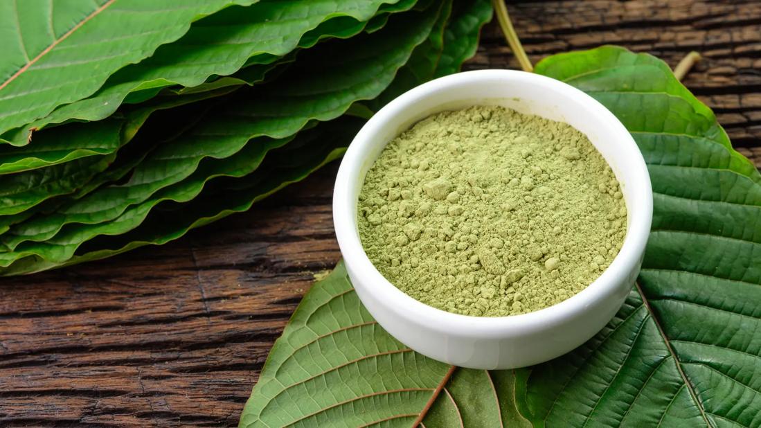 Kratom powder in small bowl, with kratom leaves nearby