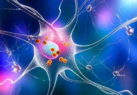 20-NEU-1990659_neuron_650x450