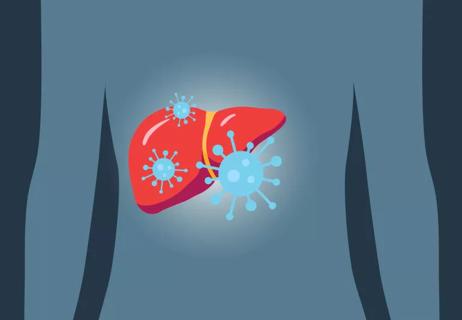 Liver with hepatitis C illustration