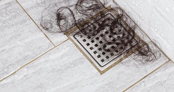 Hair in a shower drain