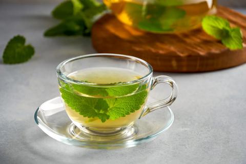 Glass mug of lemon balm tea with fresh lemon balm herb