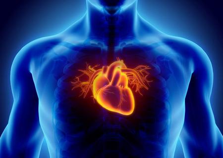 A New Era for Cardio-Oncology
