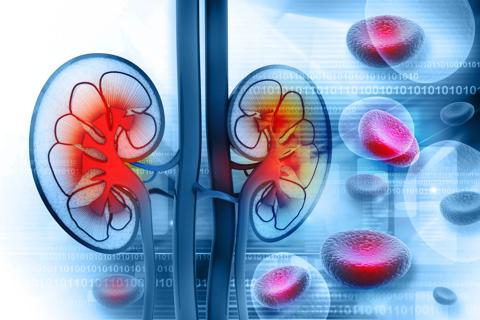 Kidney disease