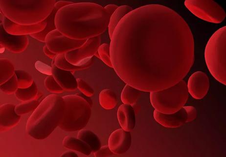 red-blood-cells_650x450