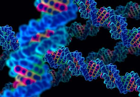 650&#215;450-DNA