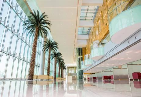 CCAD lobby with palm trees