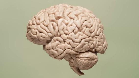 Floating brain on green background
