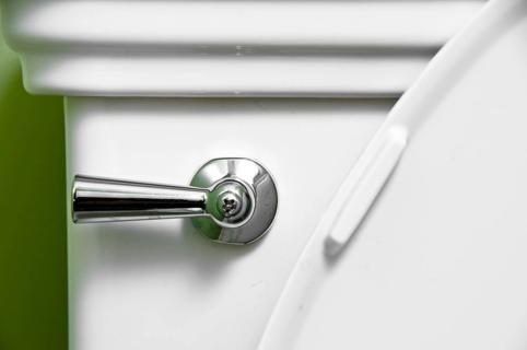Flushing handle on a toilet