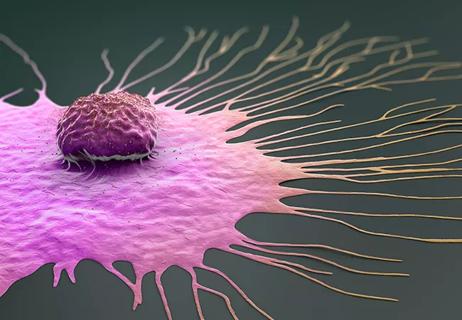 Scientific illustration of a migrating breast cancer cell &#8211; 3d illustration