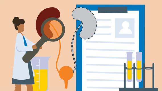 Healthcare provider examining oversized kidney with oversized magnifying glass