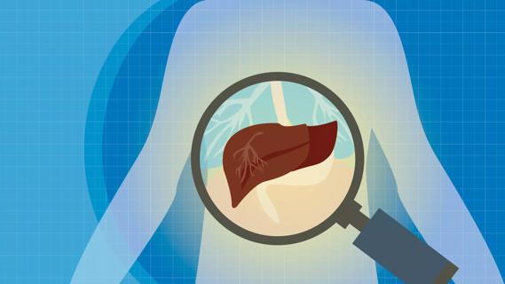 Magnifing glass over liver in the body