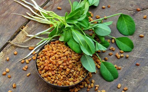 Fenugreek plant leaves and seeds on rustic table