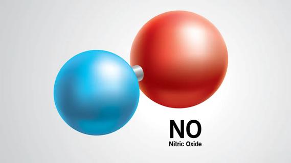 Blue and red balls symbolizing nitric oxide