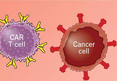 CAR-T cell_650x450