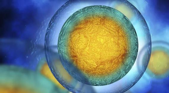 Research-690&#215;380