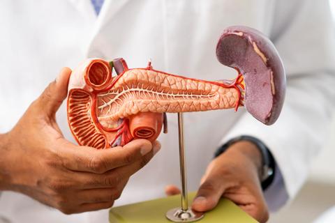 3-D medical pancreas