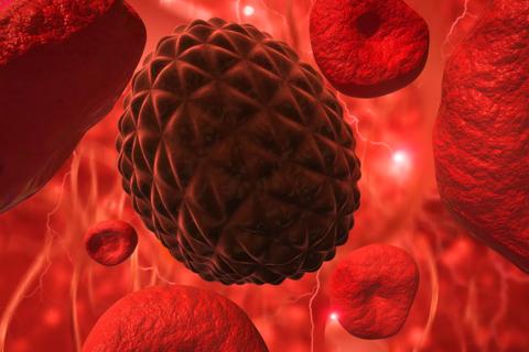 Leukemia cells