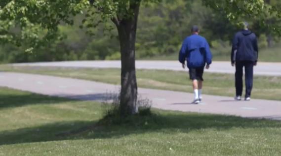People walking in park