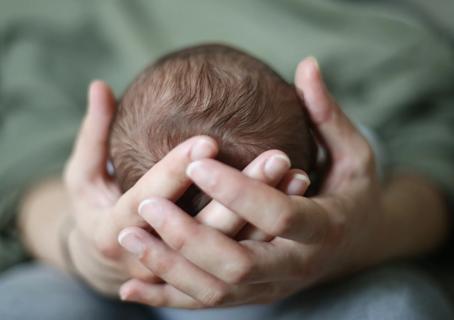 Hands cradling a newborn baby's head