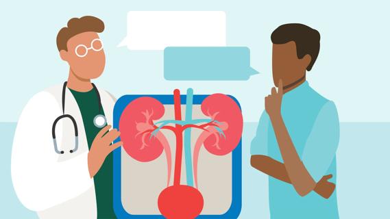 Healthcare provider discusses kidneys with patient