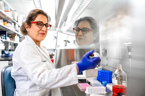 Woman working in a laboratory setting