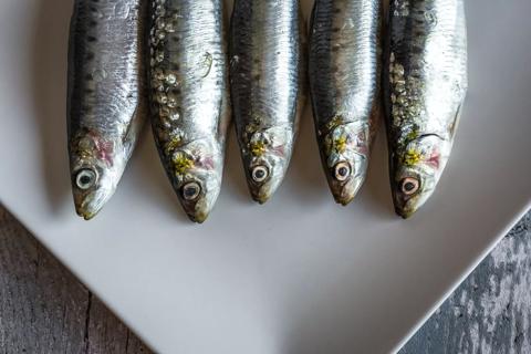 Five sardines lined up on a plate