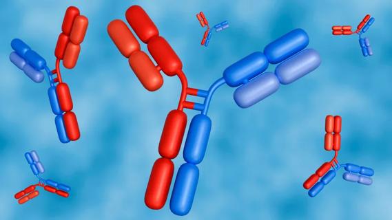 Bispecific antibodies