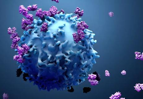 19-RHE-1355-ImmuneRel-advrs-CancerImlmunothrpy-hero
