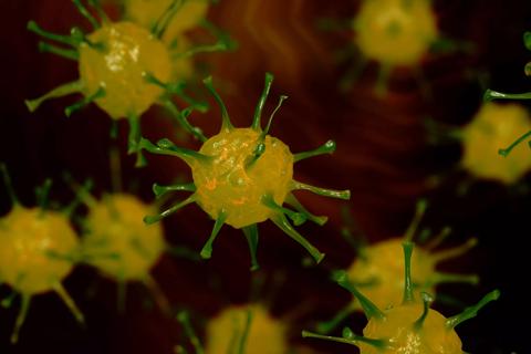 Flu virus