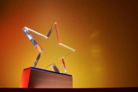 An award with a glass star on top.