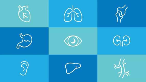 Grid of body organs and tissues for organ donation