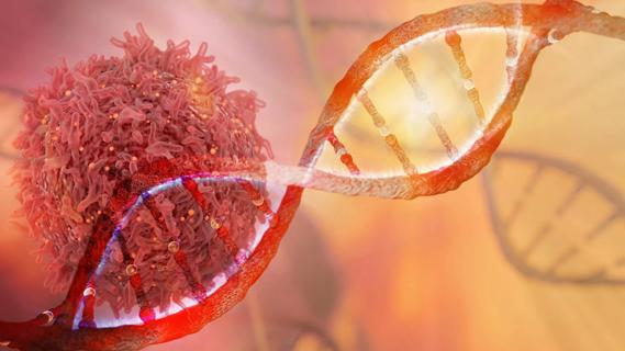 22-CNR-3290544-CQD-Hero-prostate cancer 650&#215;450