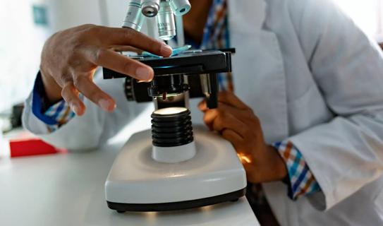 Laboratory