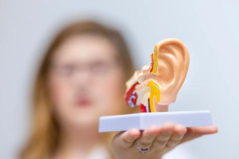 Ear model