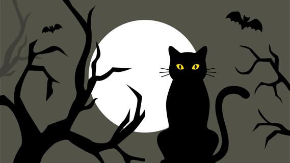 Black cat with yellow eyes sitting on a tree branch silhouetted by full moon, with bats flying around