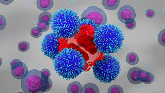 CAR T-cell